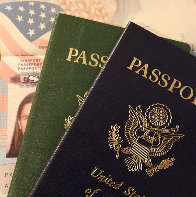 O passaporte de viagem dos Estados Unidos da América.
