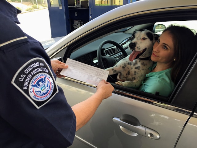 Um oficial dos EUA verifica a carteira de motorista de uma senhora em um posto de fronteira.