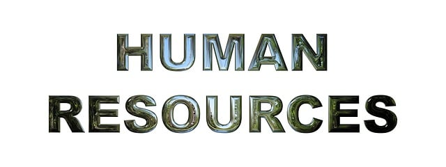 A palavra "human resources" (recursos humanos) está em um fundo branco.
