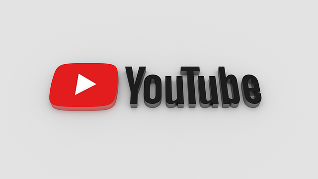 O logotipo e o texto do YouTube em um fundo branco.
