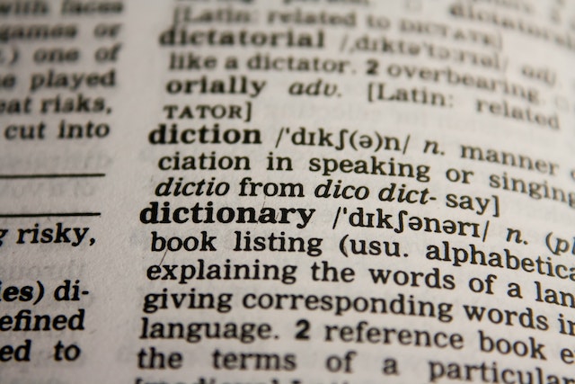 Photo en gros plan du mot "dictionnaire".