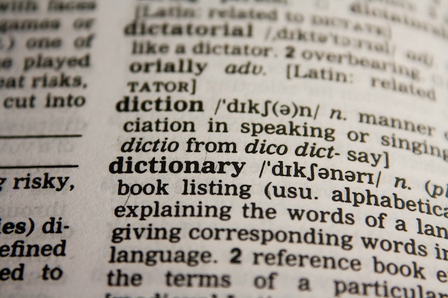 Una foto in primo piano della parola "dizionario".