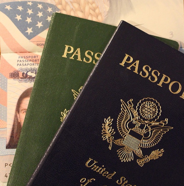 Il passaporto da viaggio degli Stati Uniti d'America.
