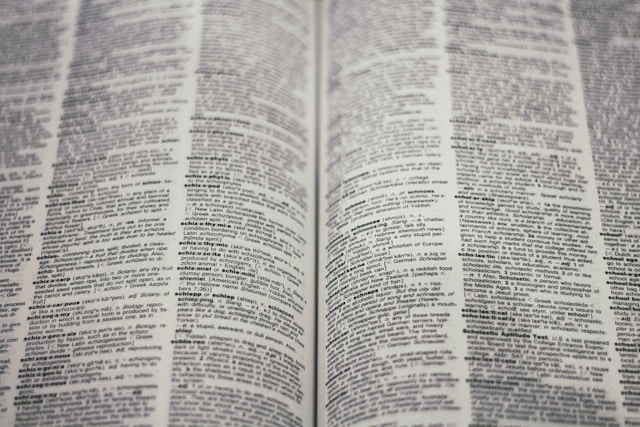 Due pagine aperte di un dizionario inglese.
