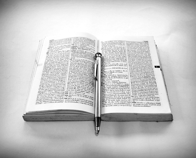 Una penna d'argento si trova tra un libro aperto su sfondo bianco.
