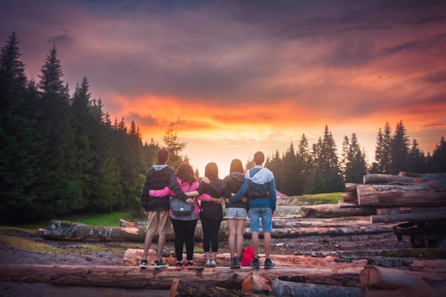 Cinque persone sono in piedi su tronchi di legno e guardano il tramonto.
