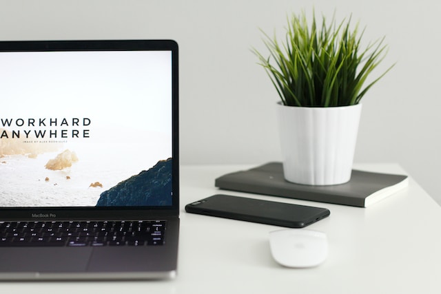 A photo of a workspace containing a laptop, a plant vase, a book, and a phone.