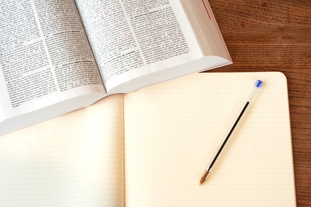 An open book with black printed text and a pen is on an opened blank book.
