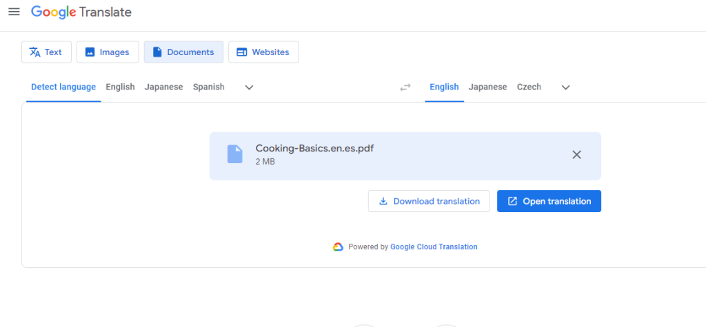 Rapid Translate’s screenshot of Google Translate translation download page on a desktop.