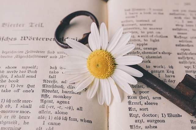 A flower and a vintage key on a dictionary page.
