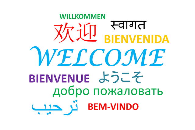 The word “WELCOME” in different languages.
